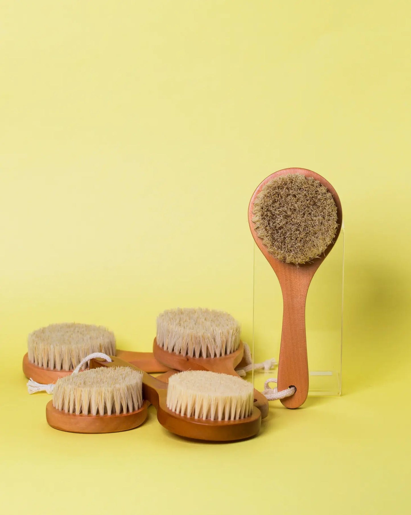 Cactus Body Brush - oh-eco