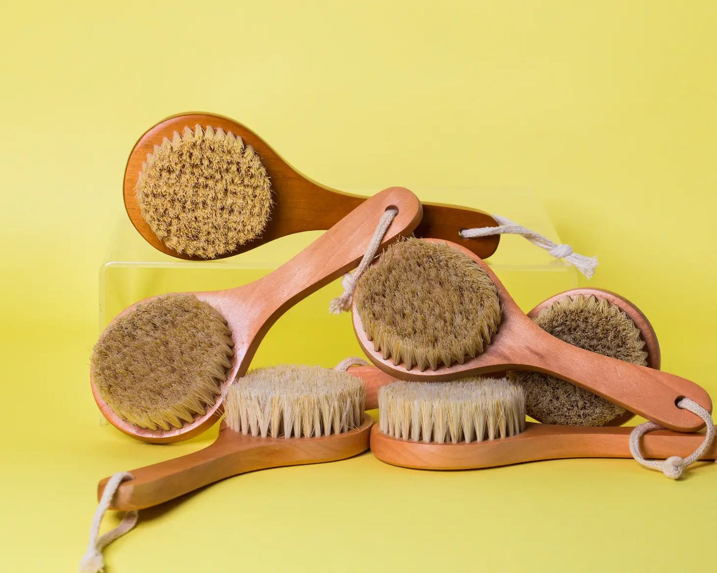 Cactus Body Brush - oh-eco